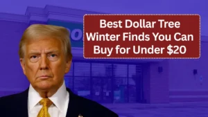 Best Dollar Tree Winter Finds You Can Buy for Under $20